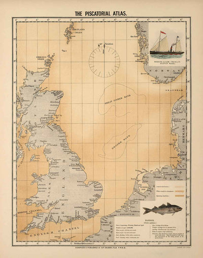 Alte Schellfischkarte der Nordsee, 1883 von O.T. Olsen - Schellfischfang, Verbreitung, Laichzeit, etc.