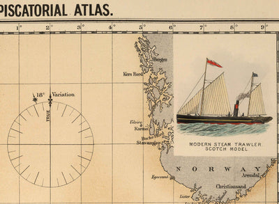 Antiguo mapa de peces de eglefino del Mar del Norte, 1883 por O.T. Olsen - Pesca de eglefino, distribución, desove, etc.