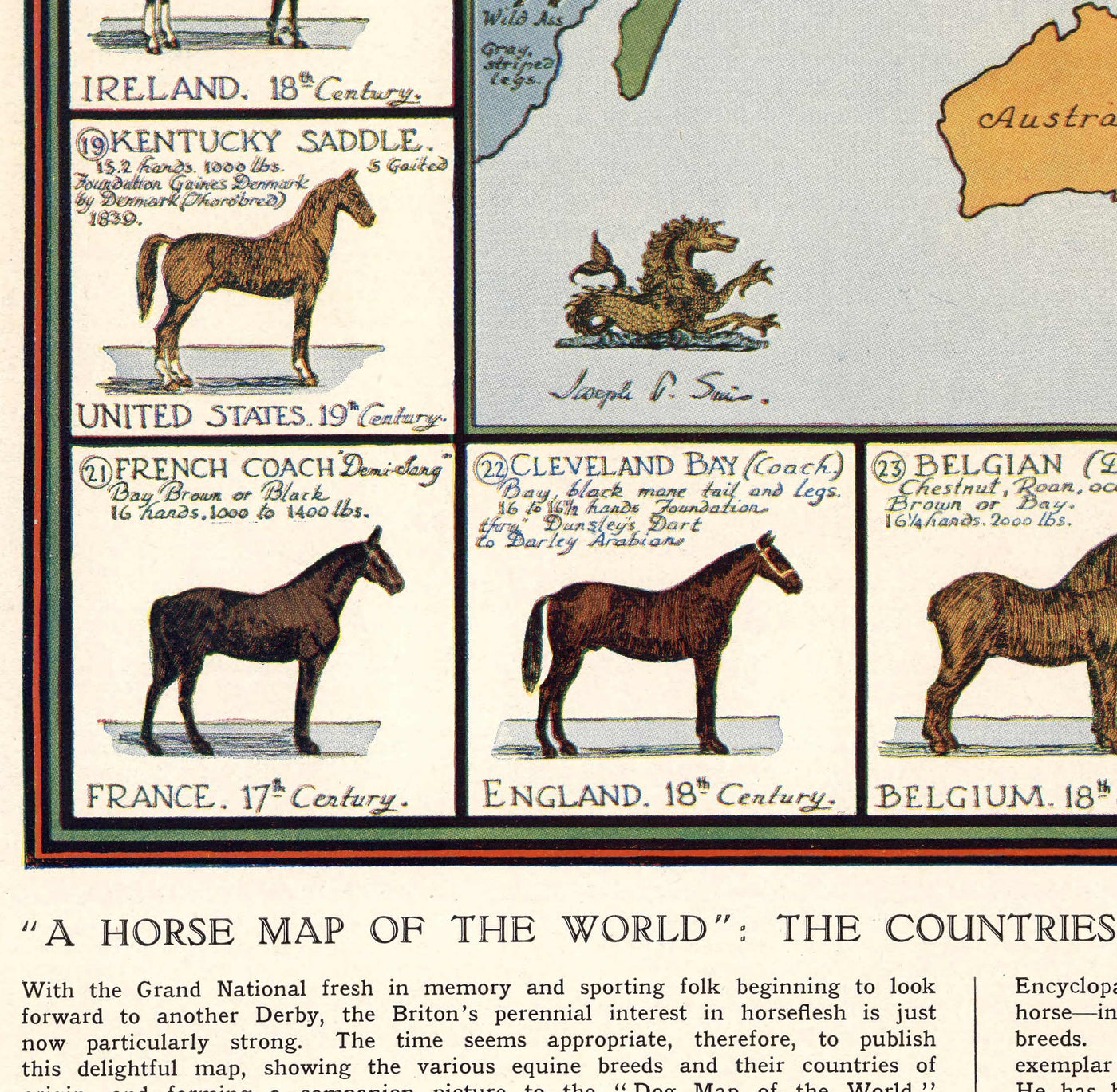 Mapa de caballos antiguos, 1936 - Gráfico del Atlas del Mundo Antiguo con los orígenes de las razas - Pura Sangre, Mustang, Shire, Pony de Polo, Árabe