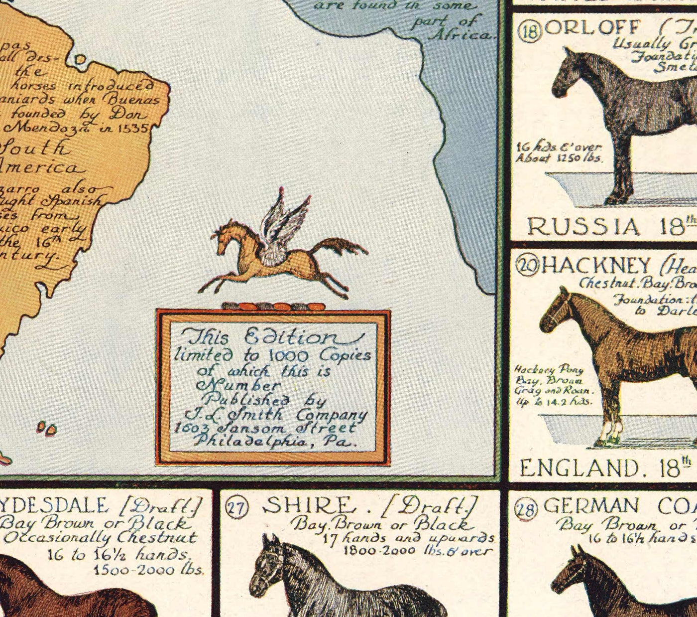 Vieille carte des chevaux, 1936 - Vieille carte de l'Atlas mondial avec les origines des races - Pur-sang, Mustang, Shire, Poney de Polo, Arabe