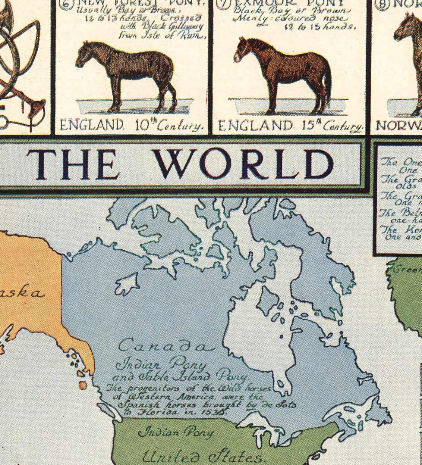 Mapa de caballos antiguos, 1936 - Gráfico del Atlas del Mundo Antiguo con los orígenes de las razas - Pura Sangre, Mustang, Shire, Pony de Polo, Árabe