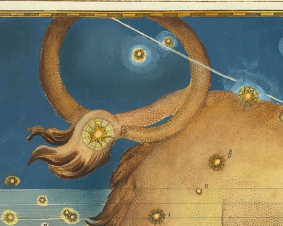 Antiguo mapa estelar de Leo, 1603 por Johann Bayer - Carta astrológica del zodiaco - El signo del horóscopo León