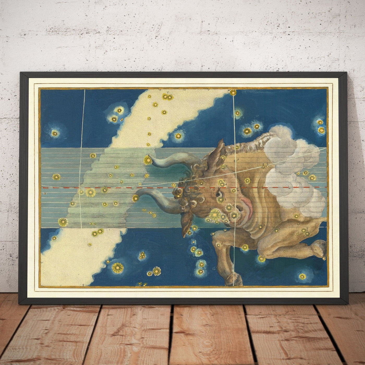 Antiguo mapa estelar de Tauro, 1603 por Johann Bayer - Carta astrológica del zodiaco - El signo del horóscopo del toro