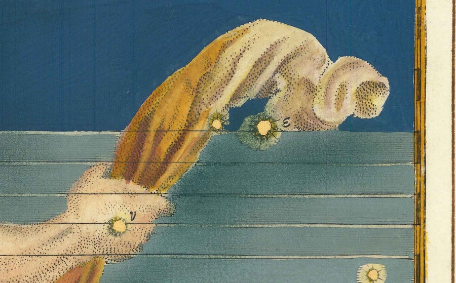 Antica mappa stellare dell&