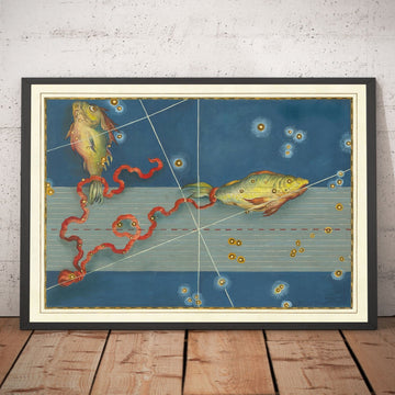 Old Star Map of Pisces, 1603 by Johann Bayer - Zodiac Astrology Chart - The Fish Horoscope Sign