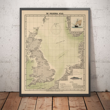 Mappa del Pesce Sgombro del Mare del Nord, 1883 di O.T. Olsen - Pesca dello Sgombro, Distribuzione, Riproduzione, ecc. 