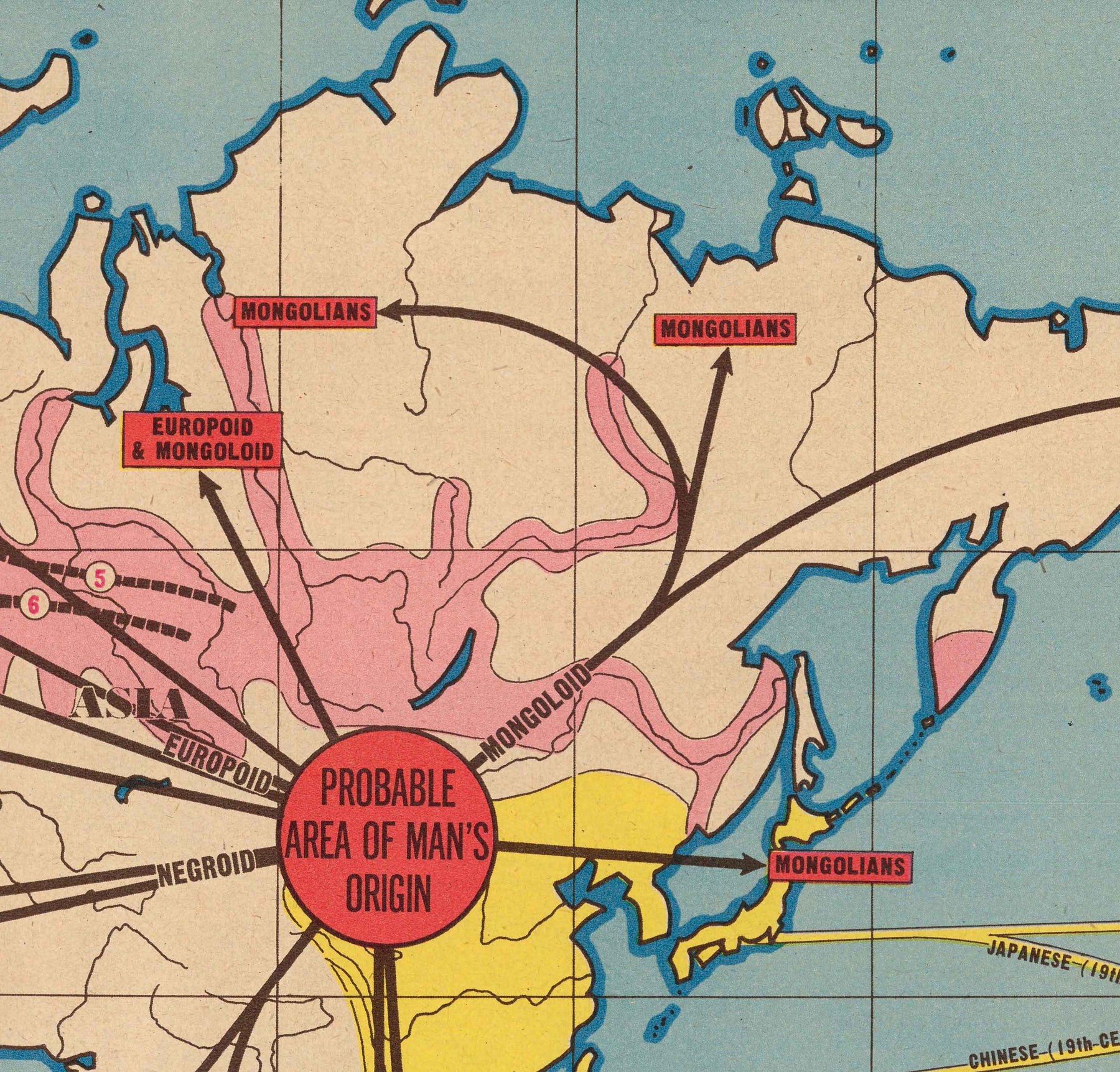 Old Map of Mass Migrations of Mankind, 1944 by Edwin Sundberg - Out of ...