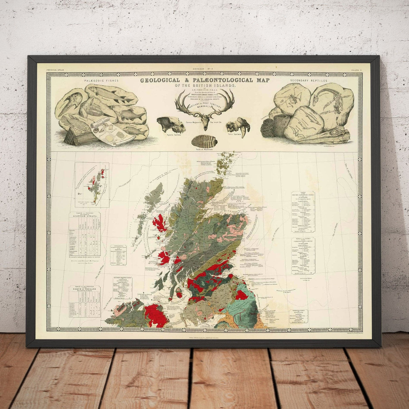 Alte Geologie- und Paläontologiekarte von Schottland, 1854, von A.K. Johnston und Edward Forbes - Seltene Fossilien-Wandtafel