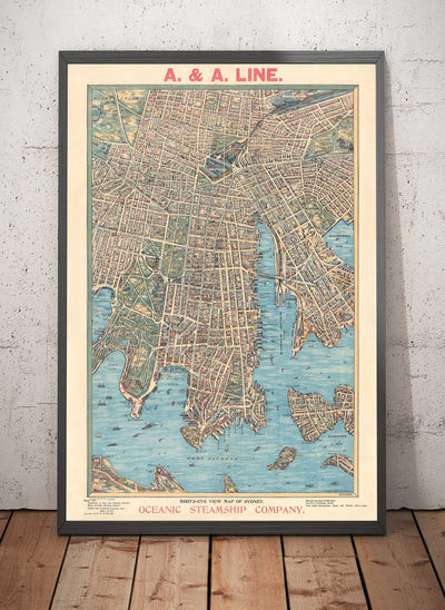 Mapa antiguo de Sydney 1902 de John Andrew - Coves Bays, Harbors, Port Jackson, Estación Central, Jardín Botánico